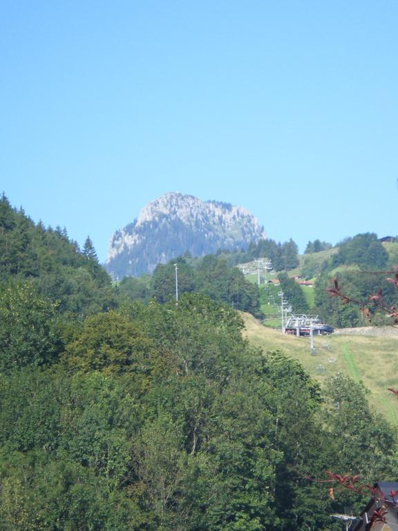 Appartamento Heidinger Oberaudorf Esterno foto